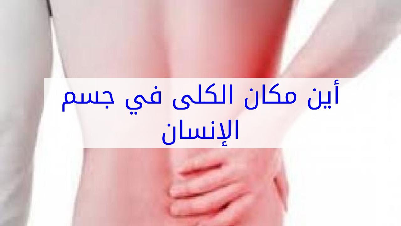 كيف يتم غسيل الكلى بالصور - اهم اجهزة الجسم الكلي 213 1