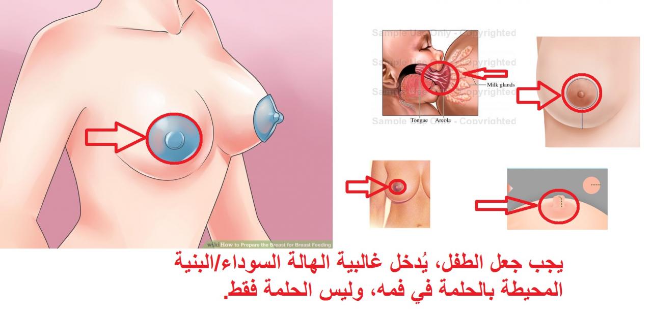 حلمة صدري توجعني , علاج تشققات حلمه الصدر للمرضع