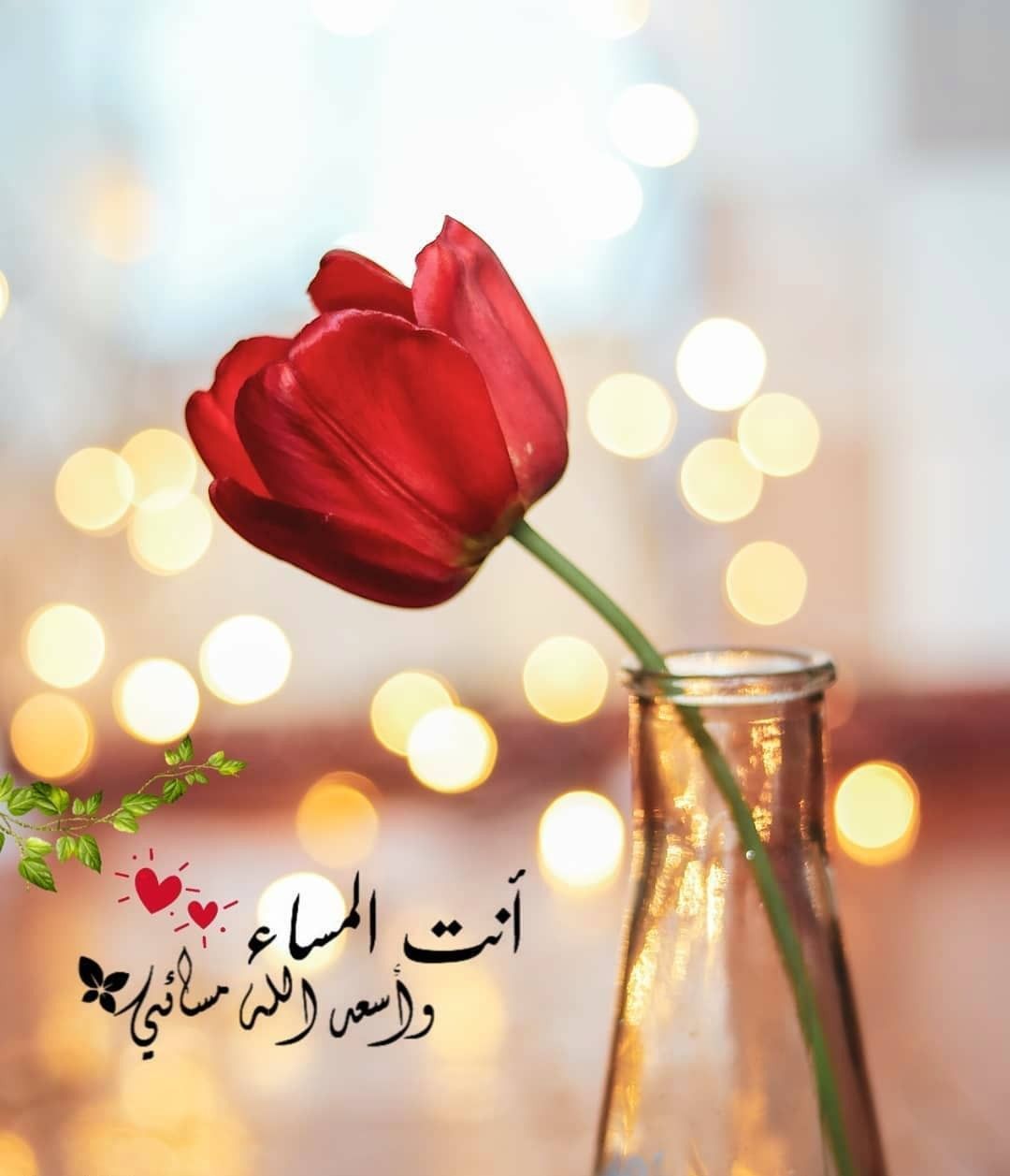 مسائك سعيد يا حبيبى - عبارات جميلة للمساء 2584 1