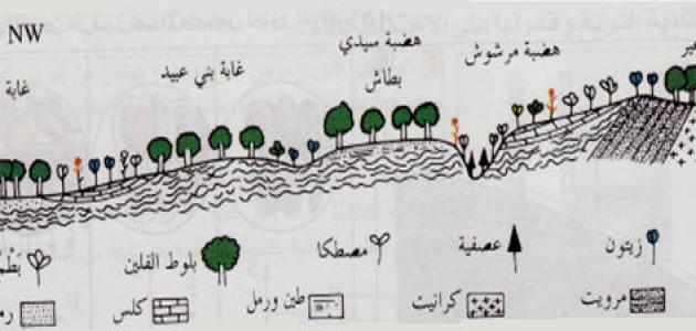 كيف تتكون التربة , تعرف على تكوين التربة