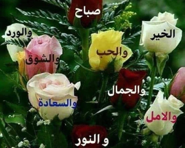 صورة صباح الحب - اجمل صورة صباح من الحبيب 2993 18