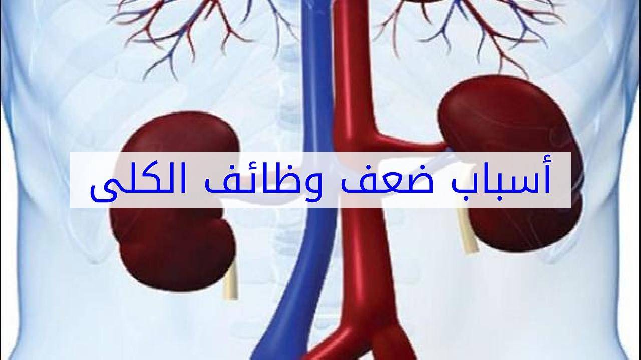 لازم تقويها , علاج ضعف الكلى