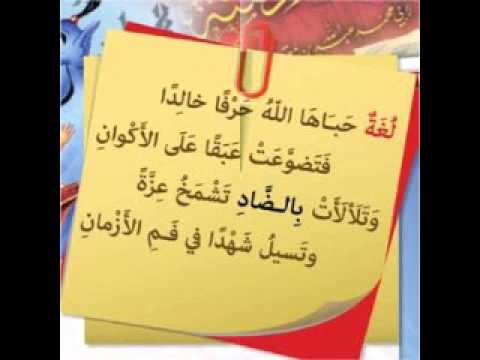 قصائد في اللغة العربية , اجمل الاشعار باللغة العربية الفصحى