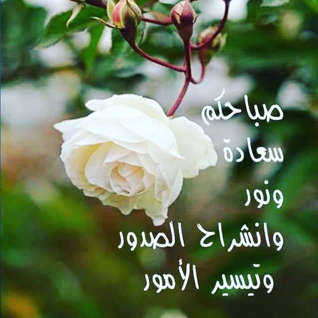 ابي صور صباح الخير - اجمل صور صباحية 2798 5