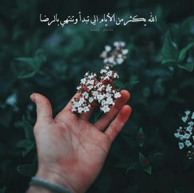 صور واتس حديثه - من اجدد صور الواتس اب 3824 6