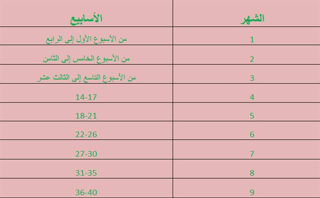 اسابيع الحمل بالتفصيل , اعرفي شهر حملك والاعراض الى هتحصلك فيه