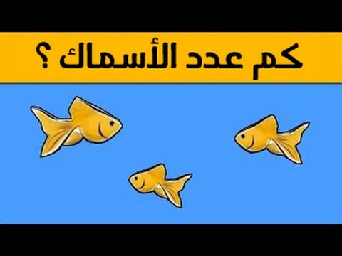 الغاز صورية صعبة مع الحل - الغاز تنشط العقل بالصور 1434 10