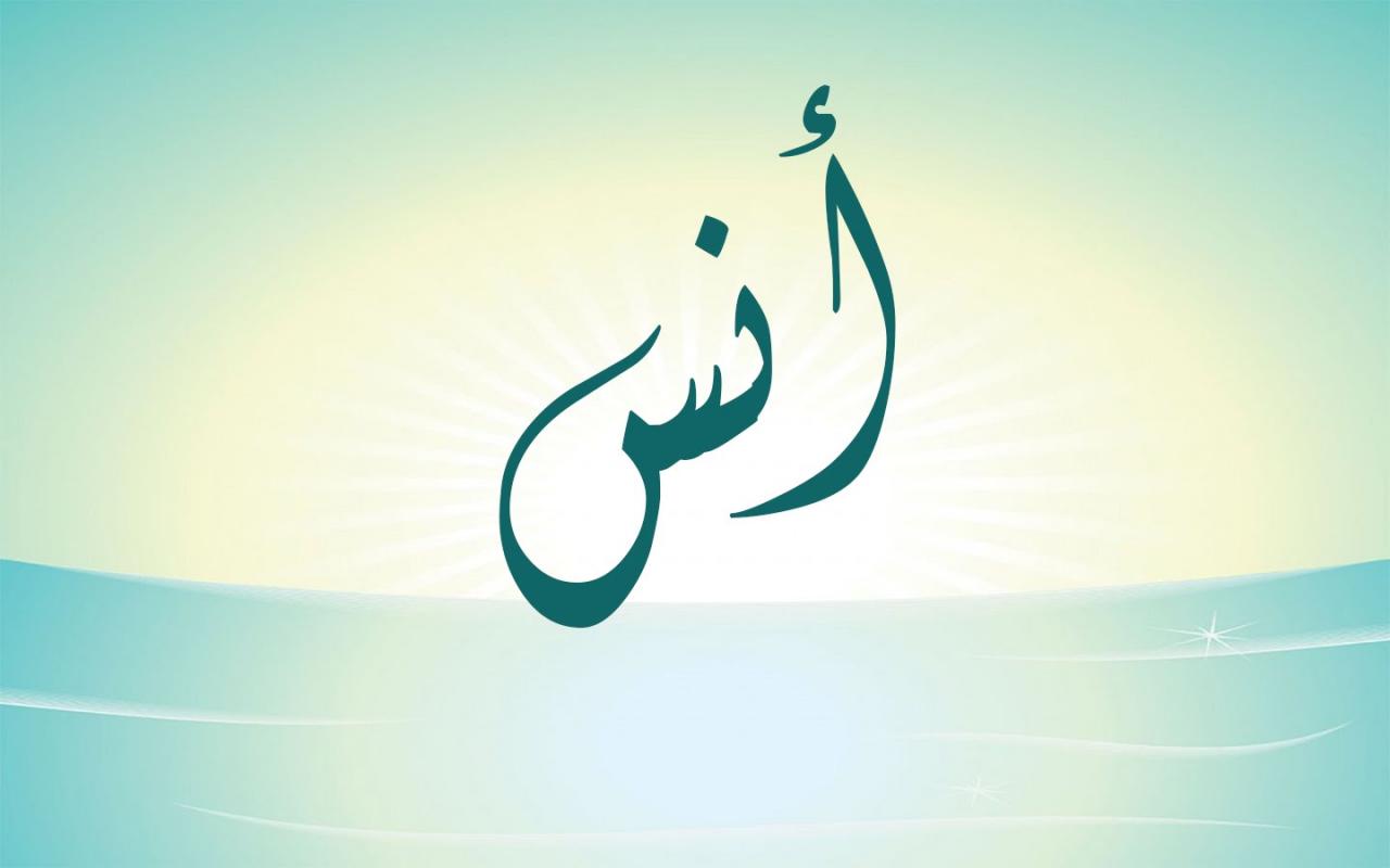 معني اسم انس - تعرف على اسم انس معناه واصله 1348