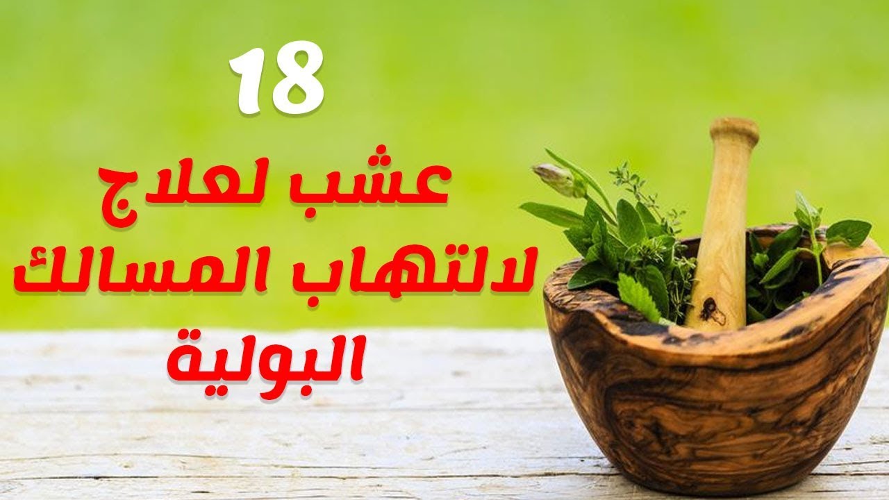 علاج طبيعي لالتهاب المسالك البولية - البقدونس والشعير لحل مشاكل حرقان البول 1779 6