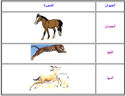 التنقل عند الحيوان في الجو - الطيران عند الحيوان 745