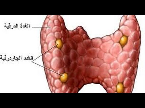 اعراض الغدة الجار درقية , لو الاعراض دا عندك لازم تخوش هنا