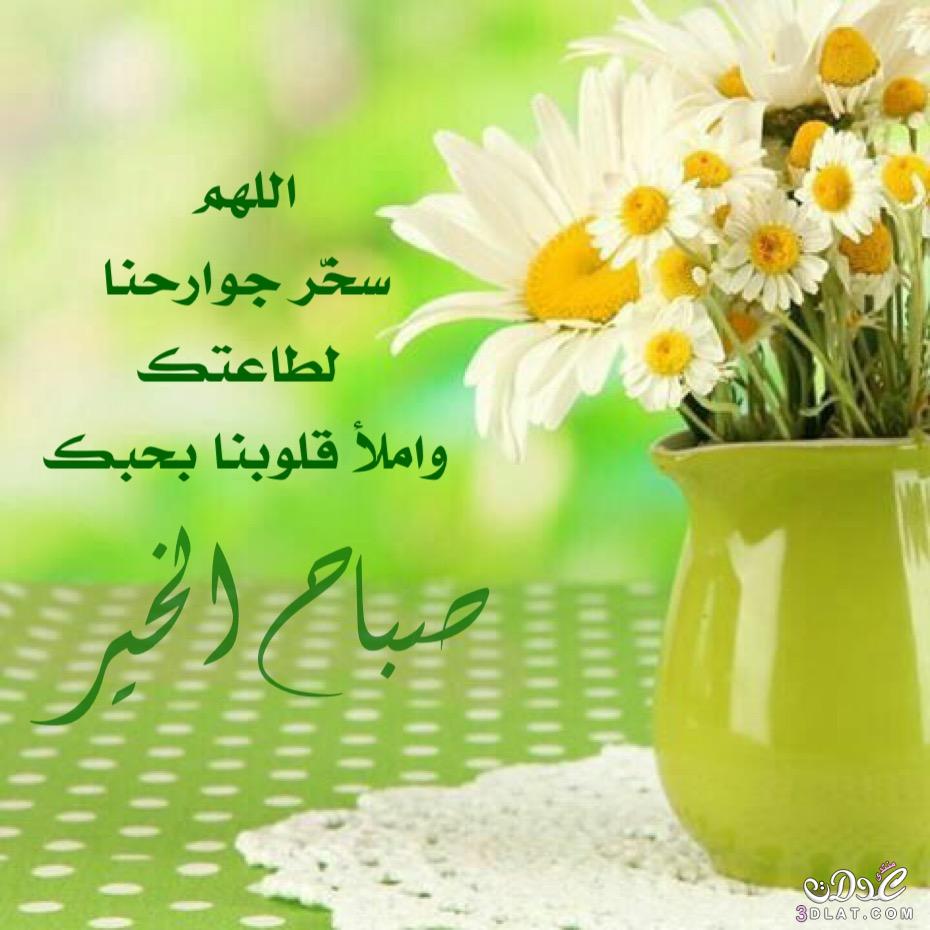 صور صباح الخير حلوه - صور صباحيه عليها كلام 1351 3