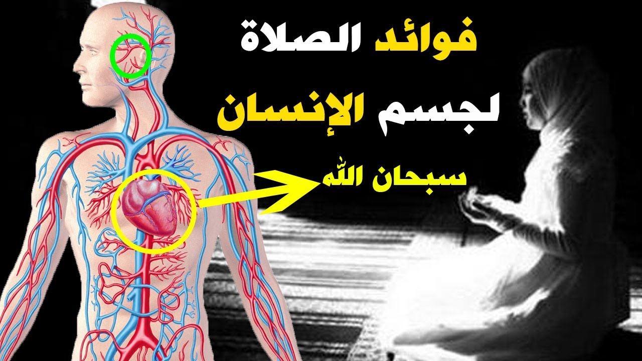 فوائد الصلاة للجسم , اهميه الصلاه في حياتنا , 