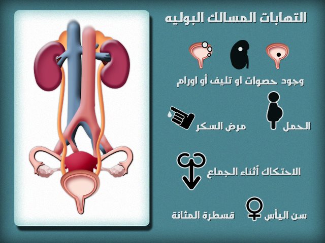 علاج طبيعي لالتهاب المسالك البولية - البقدونس والشعير لحل مشاكل حرقان البول 1779 2