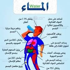 افضل طريقة لتخفيف الوزن - هتخسي من غير متحسي بخطوات بسيطة 1987 1