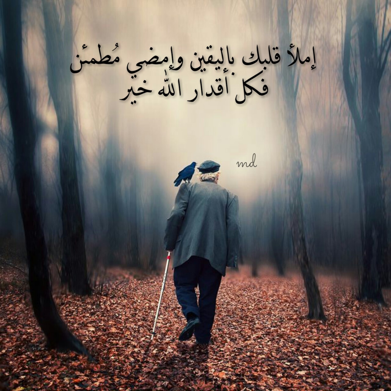 صور واتس حديثه - من اجدد صور الواتس اب 3824 3