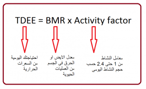 حاسب السعرات الحرارية , كيفيه استخدام حاسب السعرات الحراريه , 