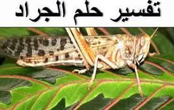 الجراد في الحلم , تفسير رؤية الجراد في المنام