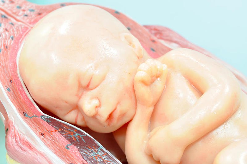 وضعية الجنين في الشهر السابع بالصور , اهم المعلومات عن الجنين ووضعه في