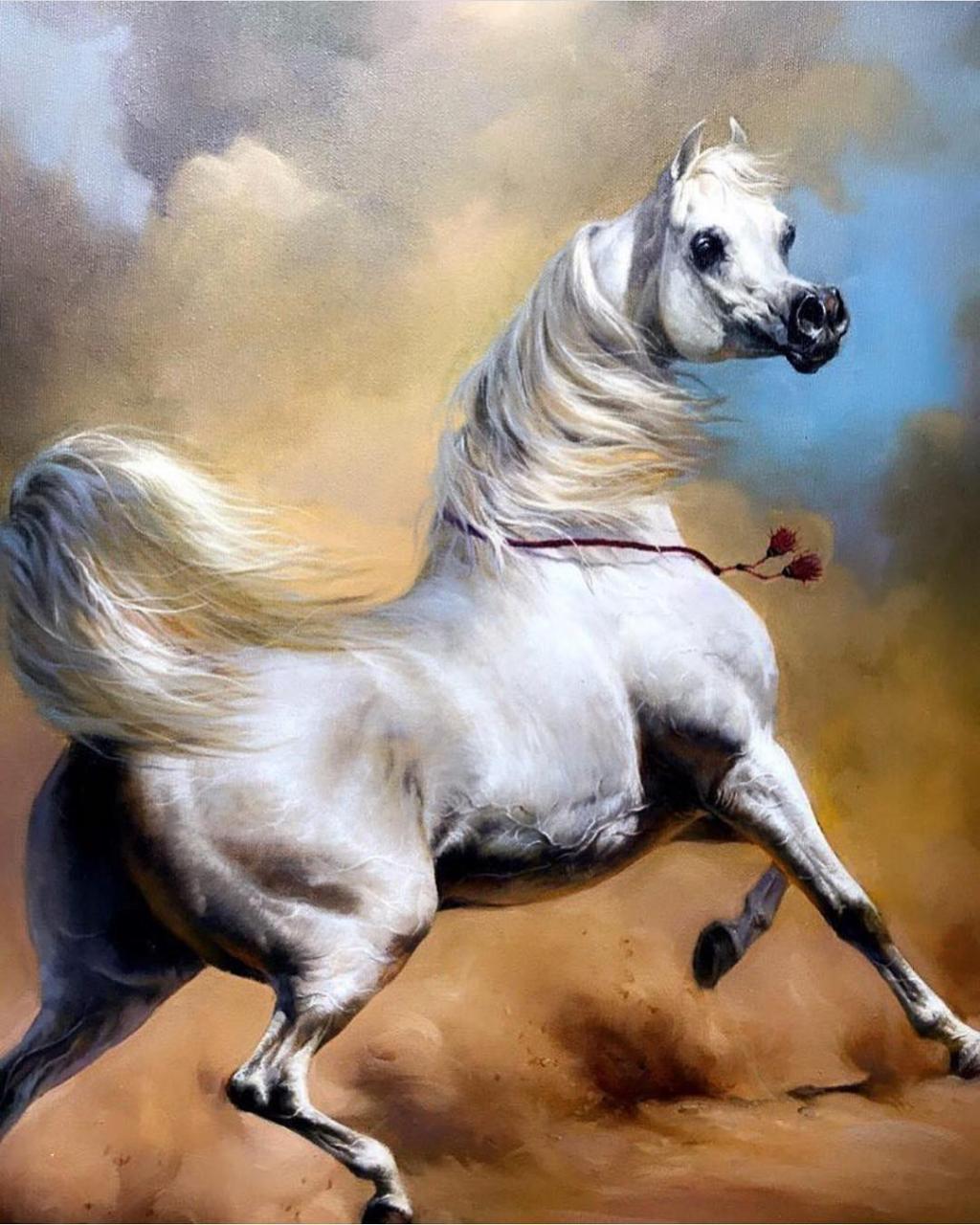 صور خيل عربي اصيل , اجمل صور الخيول العربية - اعتذار و اسف