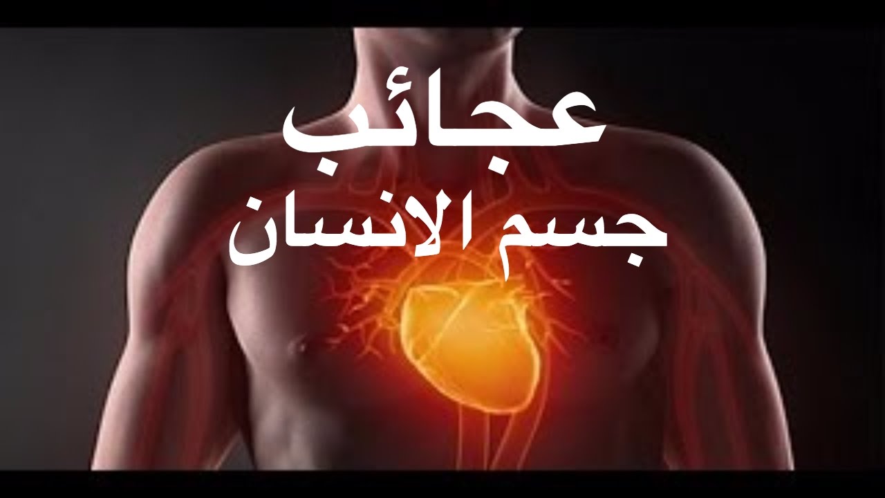 عجائب خلق الله في جسم الانسان , الاعجاز العلمي في اجهزة الجسم البشري