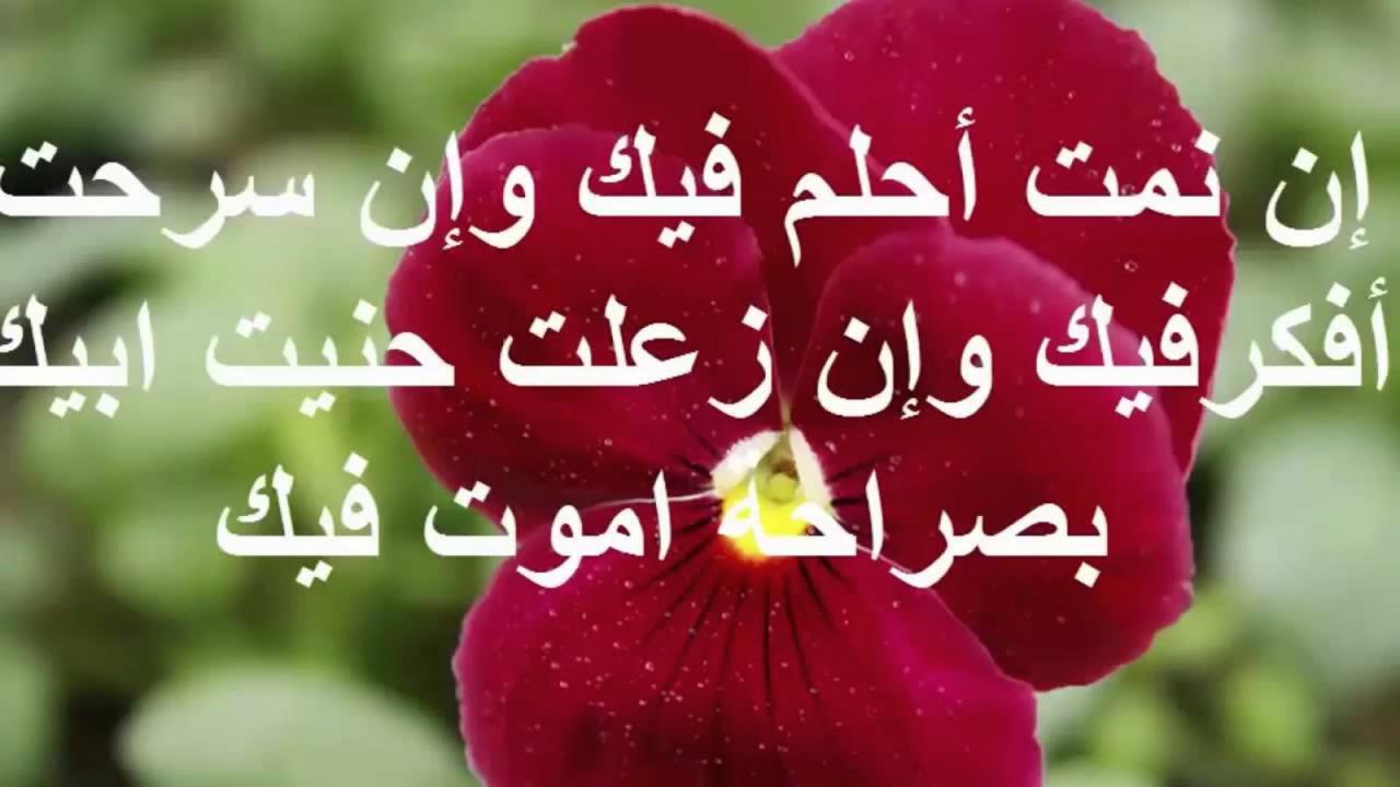 رسايل حب قصيره , الحب هو غذاء الروح